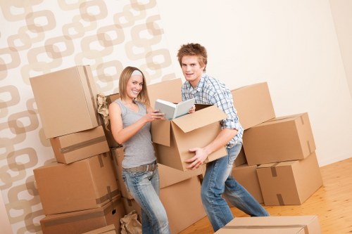 Office packing boxes and archive cartons in Collierswood