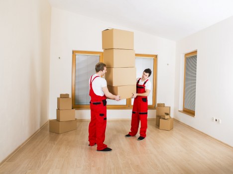 Team preparing equipment for office removals in Collierswood